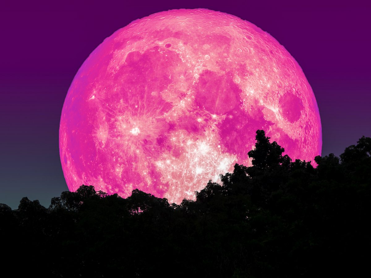 April is the Pink Moon